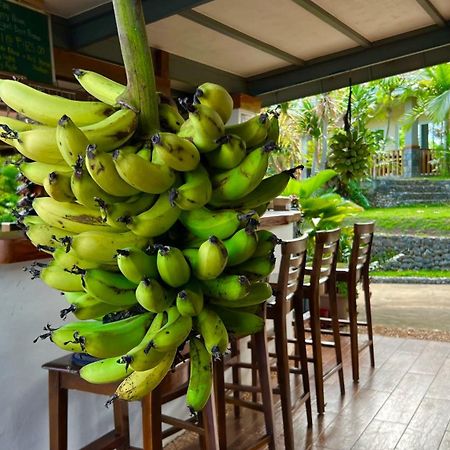 South Mountain Resort Siquijor Εξωτερικό φωτογραφία