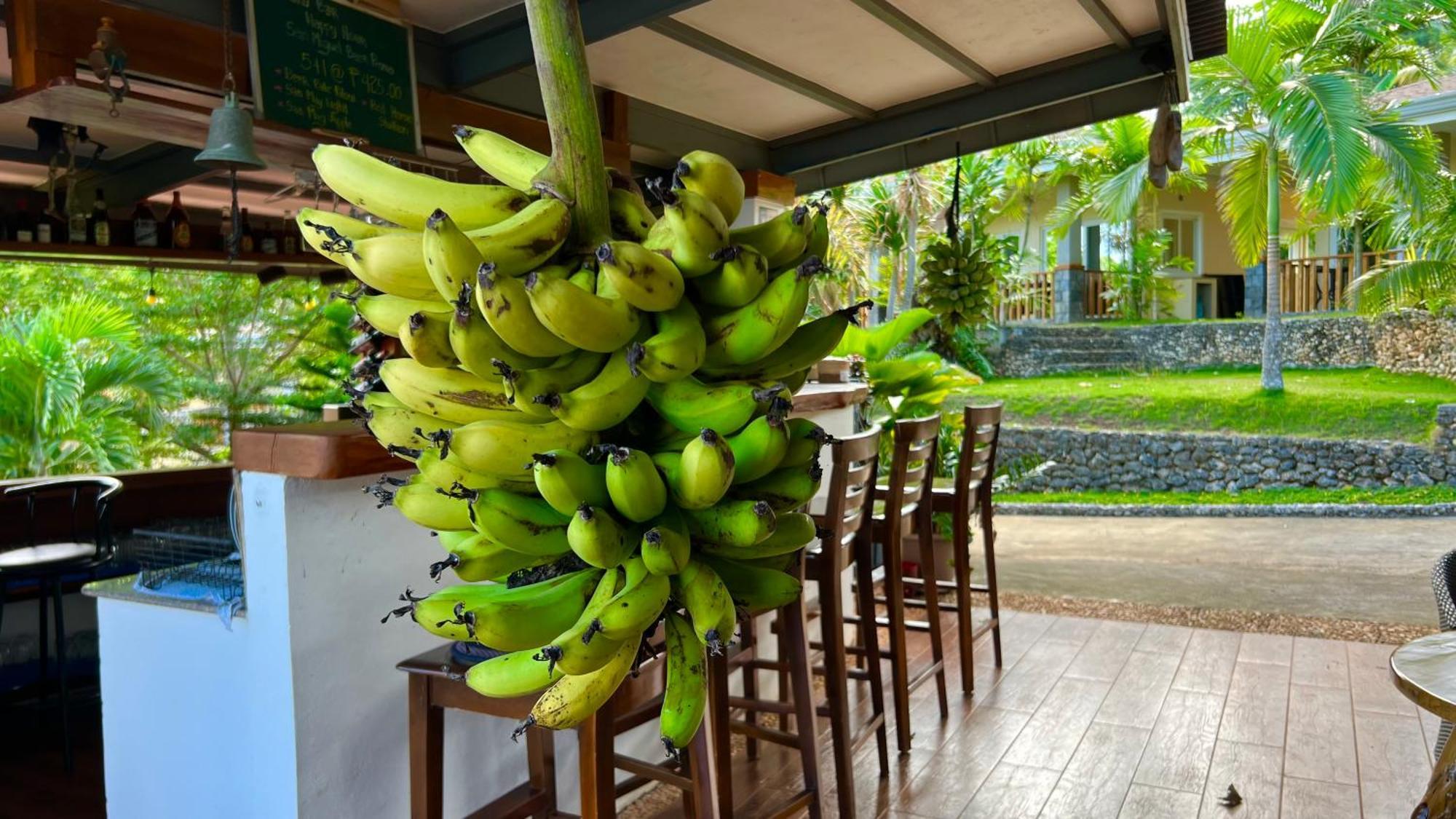 South Mountain Resort Siquijor Εξωτερικό φωτογραφία